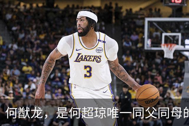 何猷龙，是何超琼唯一同父同母的亲弟弟