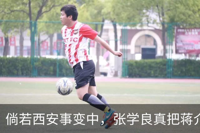 倘若西安事变中，张学良真把蒋介石枪决了，1936年的中国恐怕连1937年都撑不过去